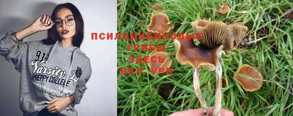 эйфоретик Арсеньев