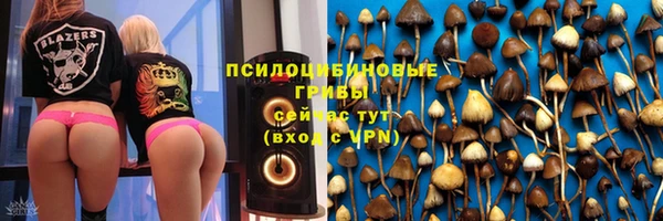 эйфоретик Арсеньев