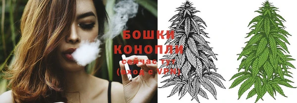 каннабис Аркадак